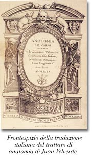 Frontespizio ddella traduzione italiana del trattato di anatomia di Juan de Valverde