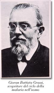 Giovanni Battista Grassi, scopritore del ciclo della malaria nell'uomo