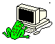 Frog and computer